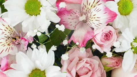 Flowers, bouquet Stock Footage 166697149