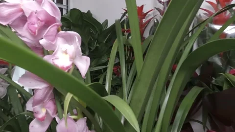 In Flowers boutique Stock-Footage 148042133