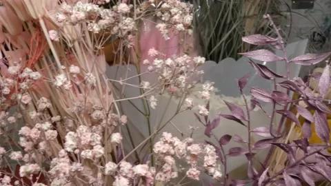 In Flowers boutique Stock Footage 148042147