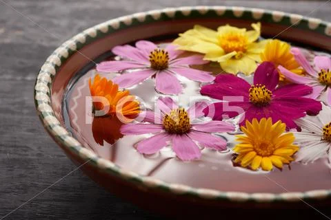 Flowers in a bowl Stock Photos