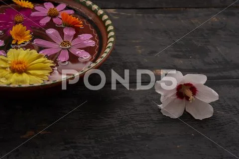 Flowers in a bowl with water and white flower on the table Stock Photos