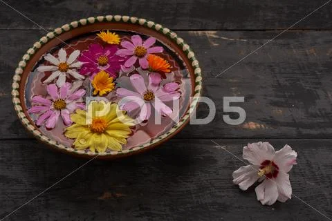 Flowers in a bowl with water and white flower on the table top Stock Photos