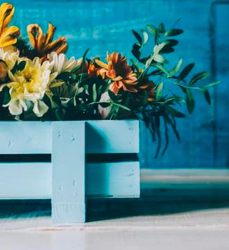 Flowers In Box Stock Photos