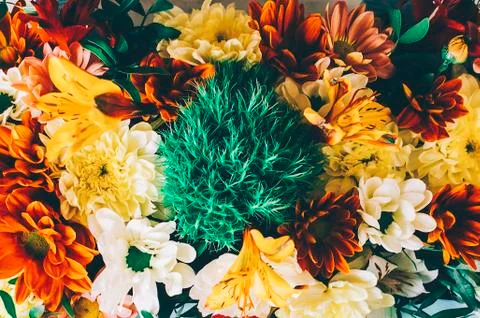 Flowers In Box Stock Photos