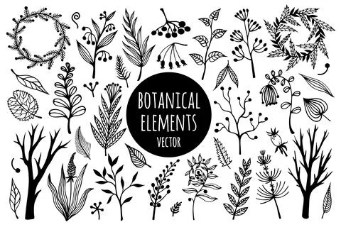 Flowers, branches, herbs vector set. Hand-drawn illustration Stock Illustration