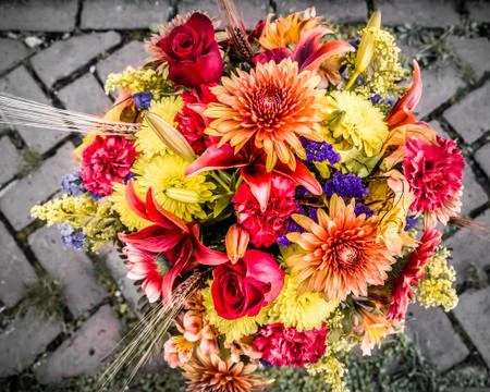 Flowers on Brick Stock Photos