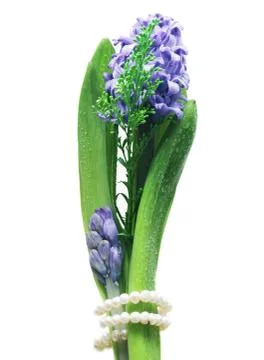 Flowers for the Bride. Stock Photos