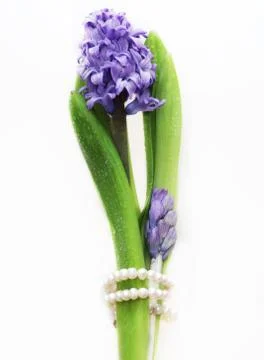Flowers for the Bride. Stock Photos