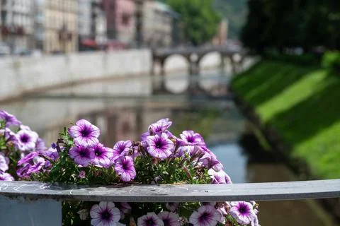 Flowers on Bridge Stock Photos