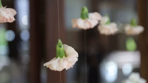 Flowers buds hanging on threads as wedding decoration. Video stock 94388733