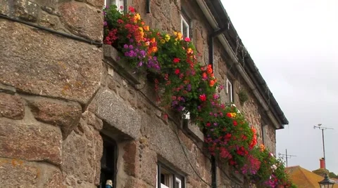 Flowers on building Stock Footage 62468921