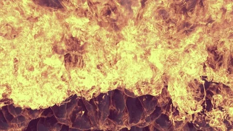 Flowers Burning Transparent Background Animation Stock Footage 338013235