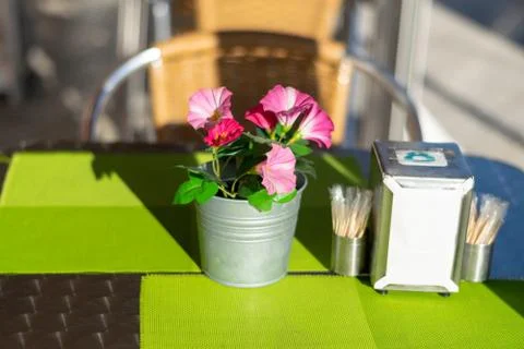 Flowers on a cafe table in a cafeteria. Stock Photos