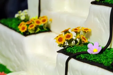 Flowers cake Stock Photos
