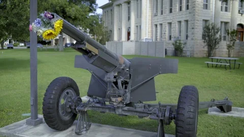 Flowers in a cannon barrel protesting war Stock Footage 109587509