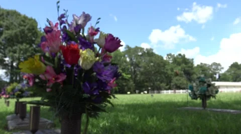 Flowers at Cemetery Video stock 67643552