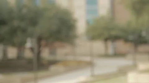 Flowers City Stock Footage 10772325