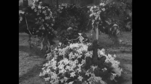 Flowers on a coffin in cemetery Stock Footage 43321306