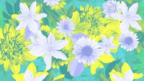 Flowers Collage Background 03 Stock Footage 293607291
