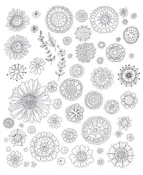 Flowers collection Stock Illustration