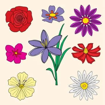 Flowers collection Stock Illustration