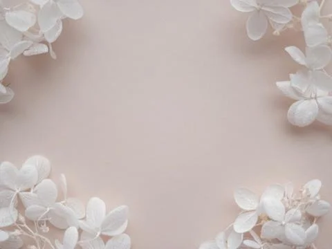 Flowers composition from beige hydrangea flowers on beige background. Spring, Stock Photos