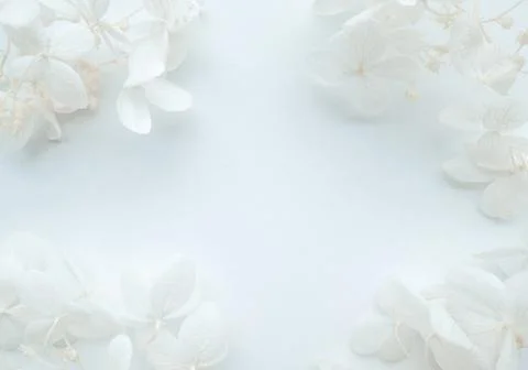 Flowers composition from blue hydrangea flowers on white background. Stock Photos