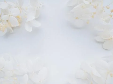 Flowers composition from blue hydrangea flowers on white background. Stock Photos