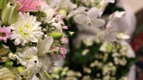 Flowers composition Stock Footage 101744588