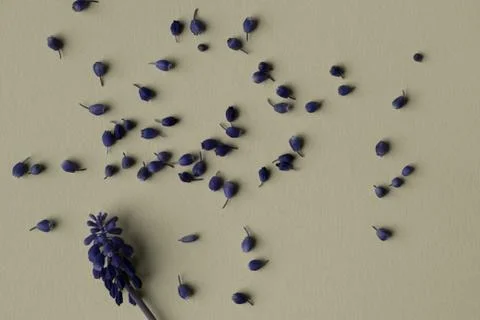 Flowers composition. Frame made of dried rose flowers on white background. Fl Stock Photos