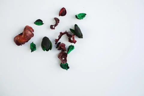 Flowers composition. Frame made of dried rose flowers on white background Stock Photos