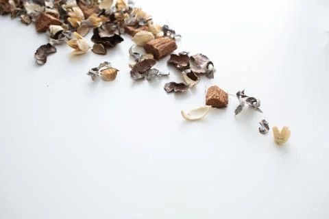 Flowers composition. Frame made of dried rose flowers on white background Stock Photos