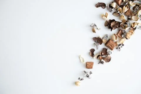 Flowers composition. Frame made of dried rose flowers on white background Stock Photos