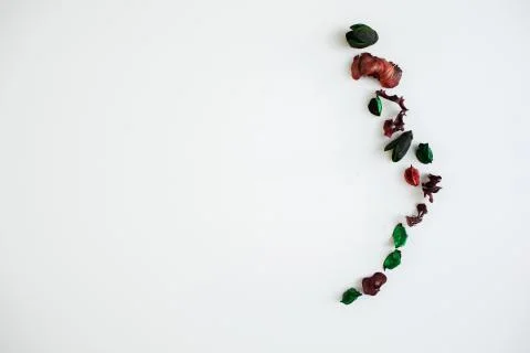 Flowers composition. Frame made of dried rose flowers on white background Stock Photos