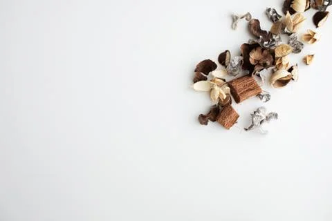 Flowers composition. Frame made of dried rose flowers on white background Stock Photos