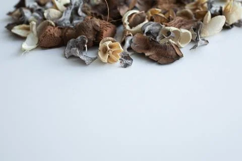 Flowers composition. Frame made of dried rose flowers on white background Stock Photos