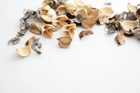 Flowers composition. Frame made of dried rose flowers on white background Stock Photos