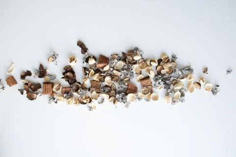 Flowers composition. Frame made of dried rose flowers on white background Stock Photos