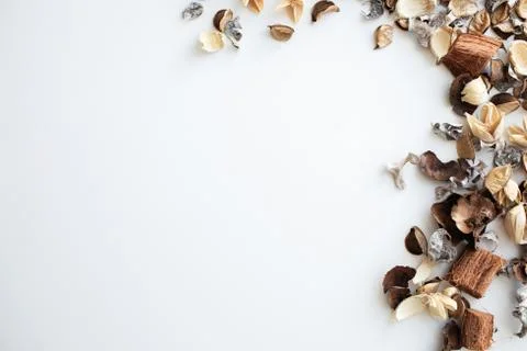 Flowers composition. Frame made of dried rose flowers on white background Stock Photos