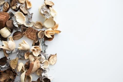 Flowers composition. Frame made of dried rose flowers on white background Stock Photos