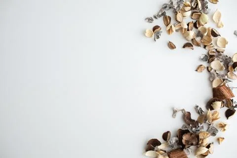 Flowers composition. Frame made of dried rose flowers on white background Stock Photos