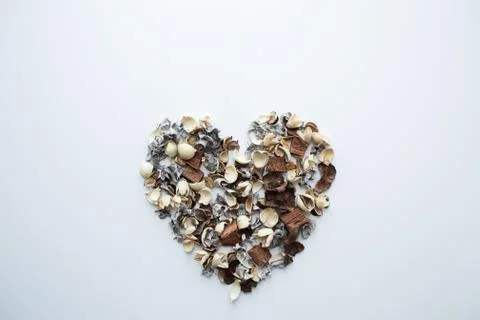 Flowers composition. Frame made of dried rose flowers on white background Stock Photos