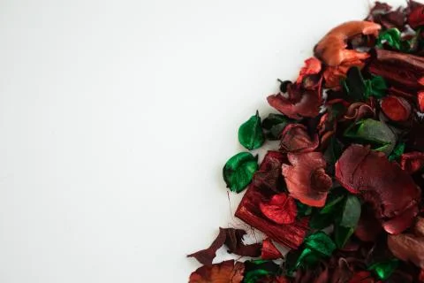 Flowers composition. Frame made of dried rose flowers on white background Stock Photos