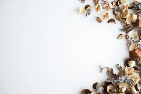 Flowers composition. Frame made of dried rose flowers on white background Stock Photos