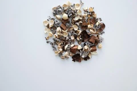 Flowers composition. Frame made of dried rose flowers on white background Stock Photos