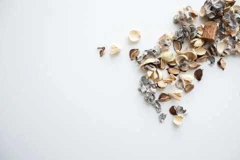 Flowers composition. Frame made of dried rose flowers on white background Stock Photos