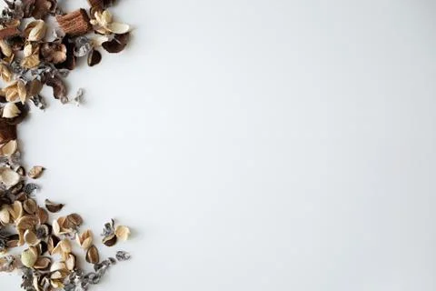 Flowers composition. Frame made of dried rose flowers on white background Stock Photos