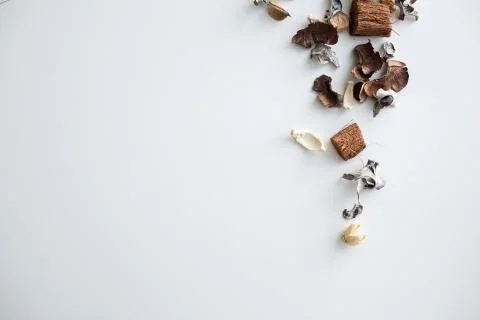 Flowers composition. Frame made of dried rose flowers on white background Stock Photos