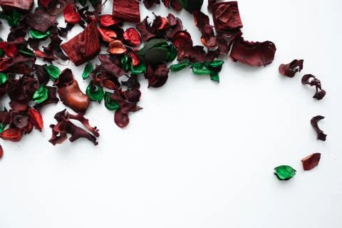 Flowers composition. Frame made of dried rose flowers on white background Stock Photos