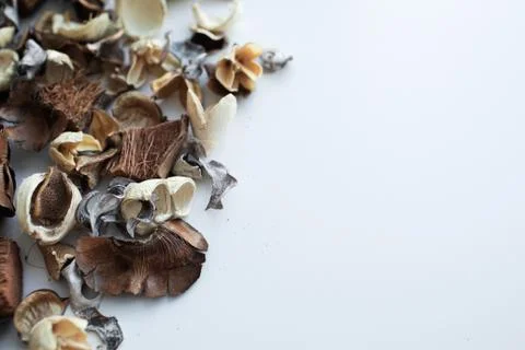 Flowers composition. Frame made of dried rose flowers on white background Stock Photos